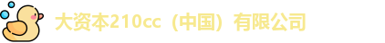 大资本210cc